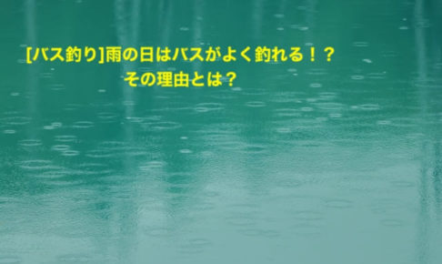 バス釣り 雨の日に釣れるオススメルアーを季節ごとで紹介